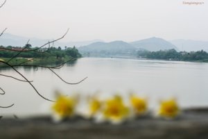 CANON_30D_50f1.8_ThienMu_Pagoda 028 - Signature800x600.jpg