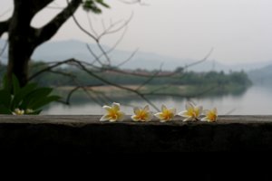 CANON_30D_50f1.8_ThienMu_Pagoda 023 800x600.jpg