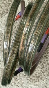 IMG_2574.jpeg