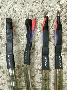 IMG_2575.jpeg