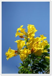 IMG_3514fn.jpg