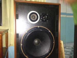 IMG_3010.JPG