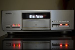 DSC_8260 - Copy.JPG