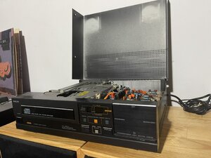 IMG_1351.jpeg