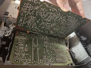 IMG_1352.jpeg