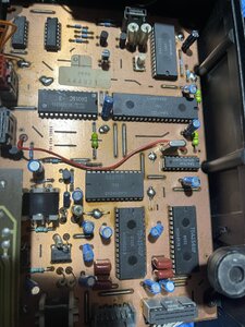 IMG_1355.jpeg