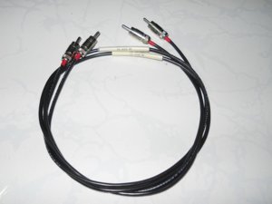 BenDen RCA 900.JPG