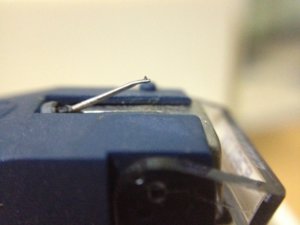 IMG_3242.JPG