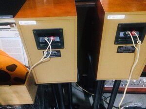 IMG_0501.jpeg