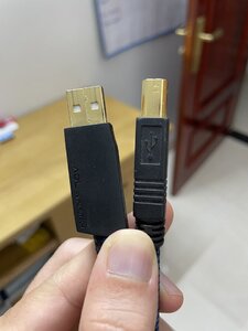 IMG_2320.jpeg