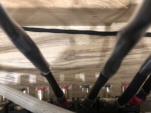 IMG_2120.jpeg