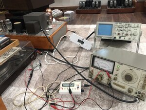 IMG_7925.jpeg