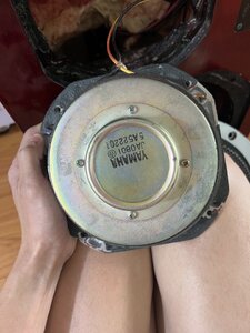 IMG_0271.jpeg