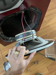 IMG_0272.jpeg