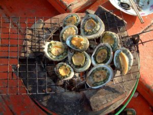 IMG_0323.JPG