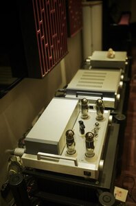 386449082_311759894956632_1697971800092546805_n (1).jpg