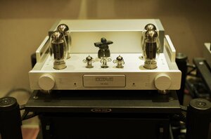 370082253_709654564395517_1933060559230941313_n (1).jpg