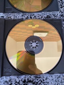 IMG_4151.jpeg