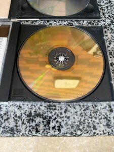 IMG_4165.jpeg