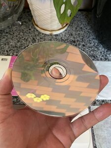 IMG_4216.jpeg
