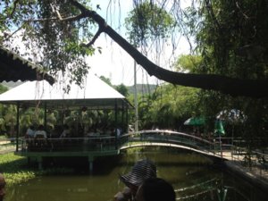 IMG_3874.JPG