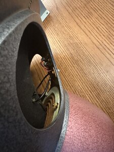 IMG_9528.jpeg