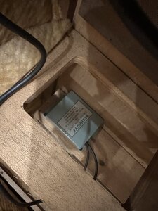 IMG_9536.jpeg