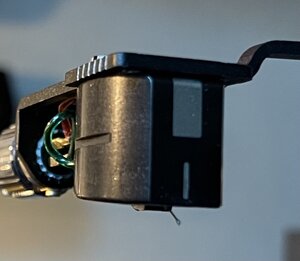 IMG_3840.jpeg