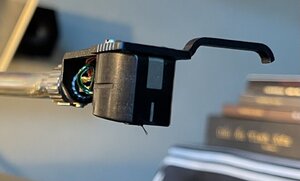 IMG_3837.jpeg
