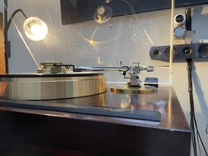 IMG_1175.jpeg