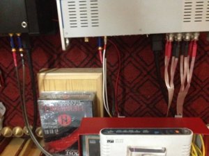 IMG_TYr4.JPG