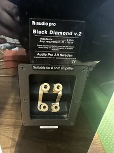 IMG_3168.jpeg