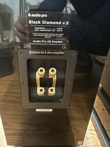 IMG_3169.jpeg