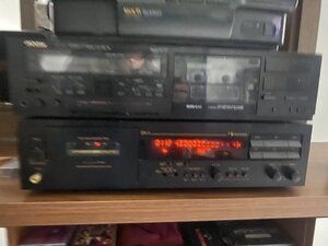 IMG_1254.jpeg