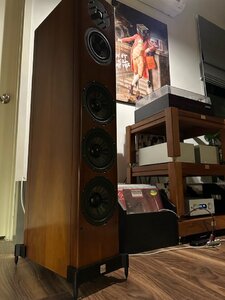 IMG_2533.jpeg