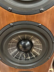 IMG_2536.jpeg