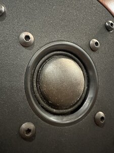 IMG_2539.jpeg