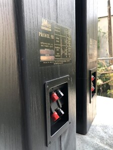 IMG_20240131_130333.jpg