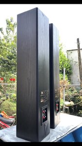 IMG_20240131_130345.jpg