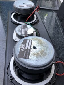 IMG_20240131_130347.jpg