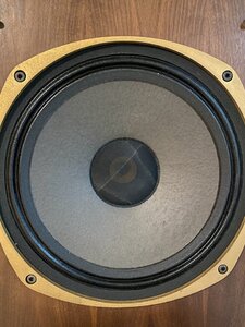 IMG_6151.jpeg