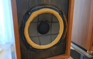 IMG_1223.jpeg