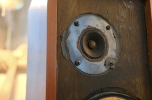IMG_1221.jpeg