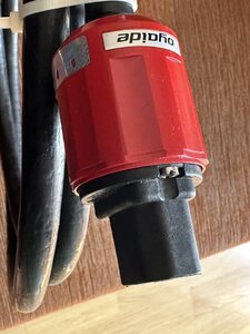 IMG_2241.jpeg