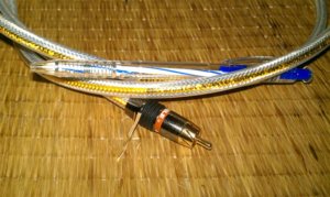 IMAG0040 (Medium).jpg