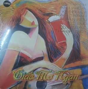 Giac mơ ngàn.jpg