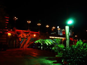 P5220578.JPG