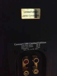 590.jpg