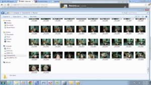 Recover benngu (600 x 337).jpg