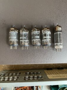 IMG_5235.jpeg